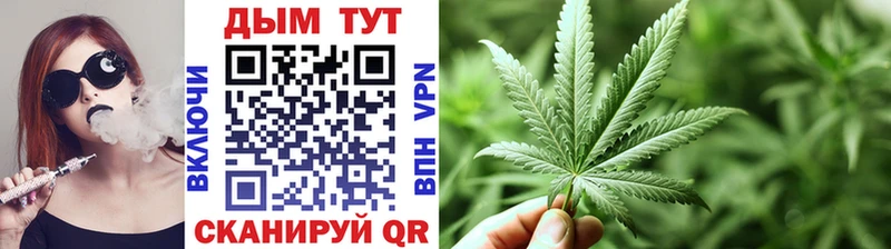 Магазины продажи наркотиков Киселёвск Конопля МЕФ Гашиш
