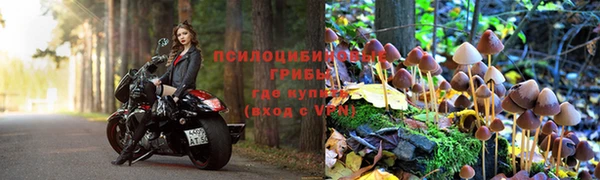 ешки Абдулино