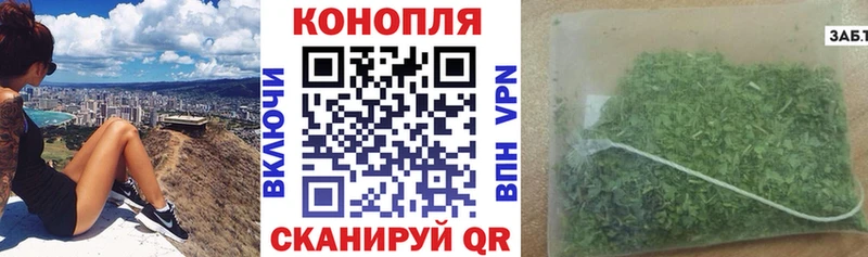 где можно купить наркотик  Киселёвск  Каннабис Bruce Banner 